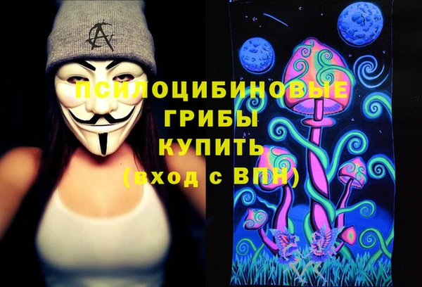 сатива Михайлов