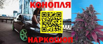 Альфа ПВП Гусиноозёрск