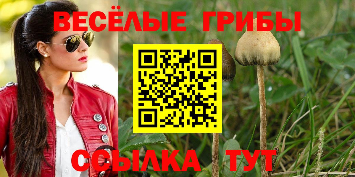 Галлюциногенные грибы мухоморы  Псилоцибиновые грибы Psilocybe  Шатура 