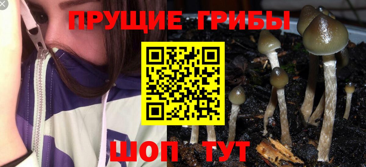 Галлюциногенные грибы ЛСД Шатура