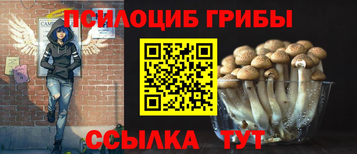 Шатура  Галлюциногенные грибы Magic Shrooms  Вход с VPN 